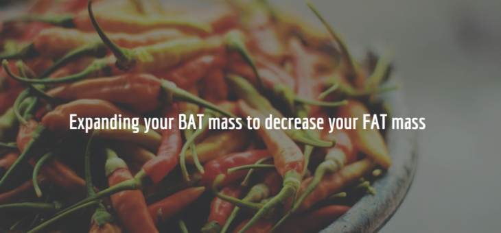 Expand Your BAT Mass to Decrease Your Fat Mass